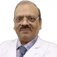 Arvind K Agarwal